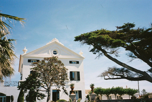 Behind The New Society SS25 Campaign